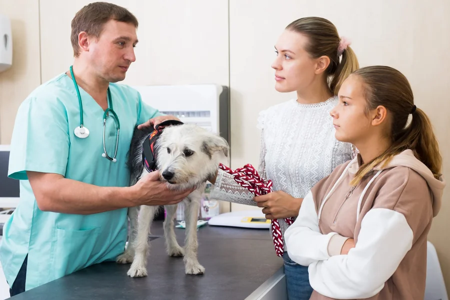Animal Hospital