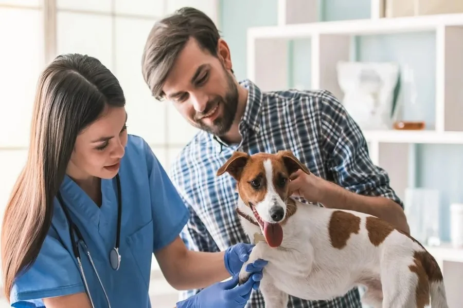5 Benefits Of Regular Weight Checks At The Vet
