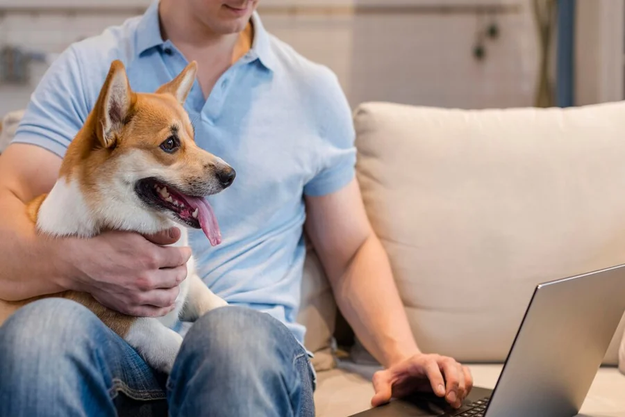 Pet Care