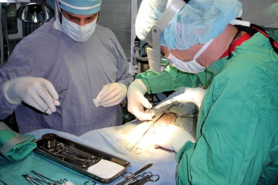 Animal Hospitals
